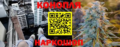 трава Кинель
