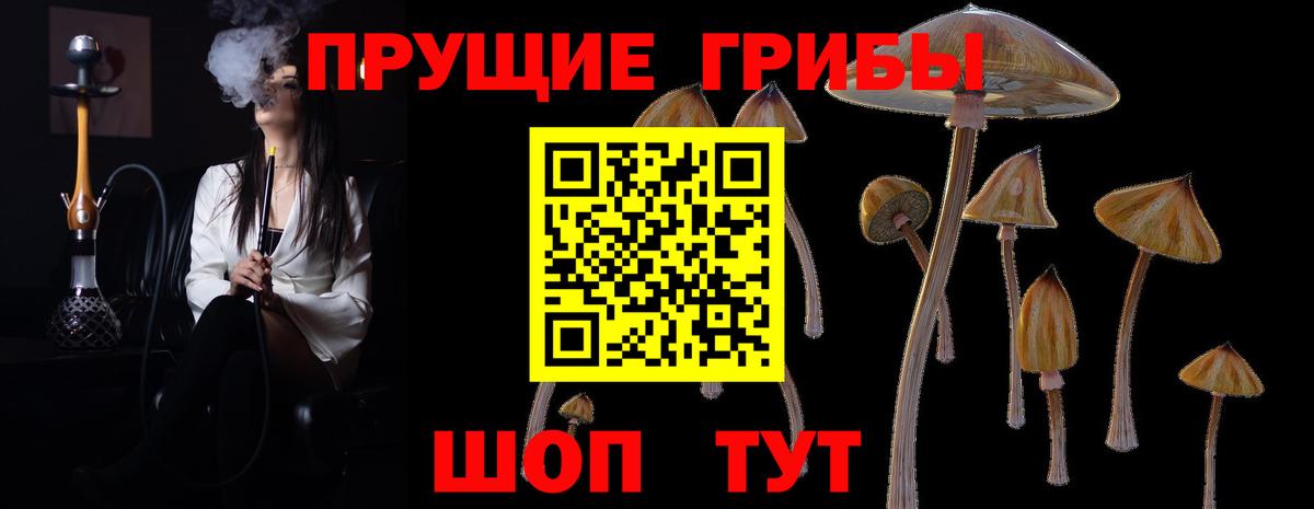 Краснознаменск  Галлюциногенные грибы MAGIC MUSHROOMS  Галлюциногенные грибы прущие грибы  Вход с VPN 
